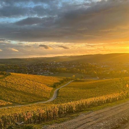 Maison De Campagne Entre Vigne Et Bois Шабли Екстериор снимка