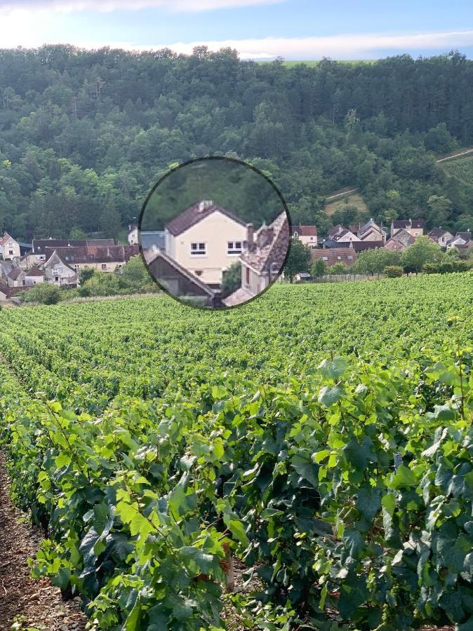 Maison De Campagne Entre Vigne Et Bois Шабли Екстериор снимка