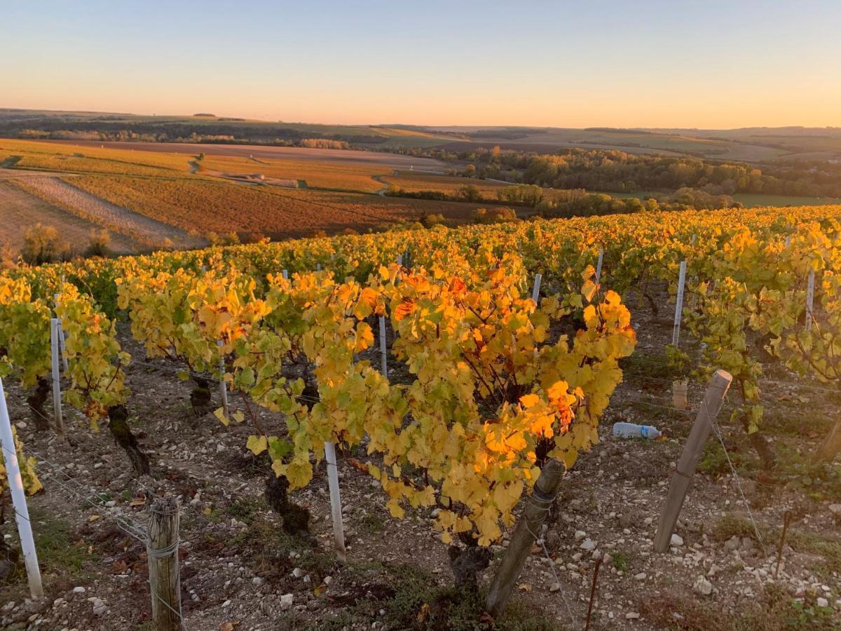 Maison De Campagne Entre Vigne Et Bois Шабли Екстериор снимка
