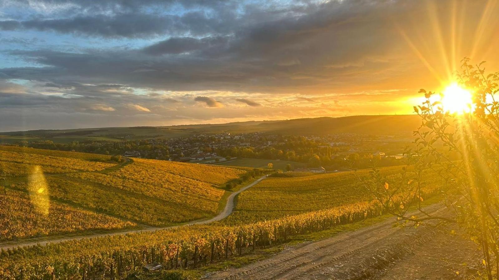 Maison De Campagne Entre Vigne Et Bois Шабли Екстериор снимка